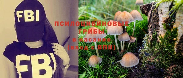 МДМА Алексеевка