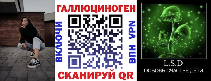 Псилоцибиновые грибы Psilocybine cubensis  Липки 